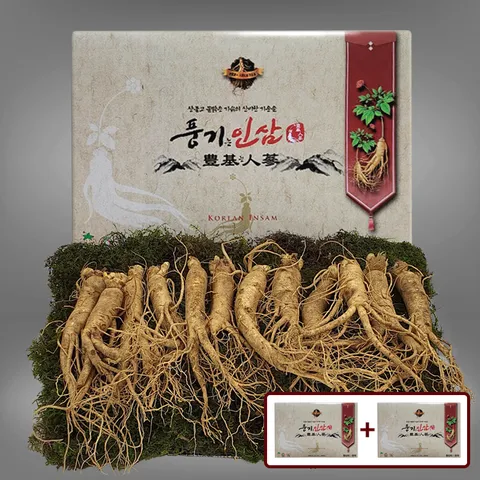 풍기인삼 5년근 수삼 500g 10-13뿌리 x 2박스