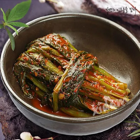 전라도 광신 갓김치 2kg