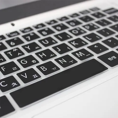 LG 2020 그램17 17ZD995-VX50K용 말싸미키스킨