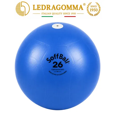 [레드라곰마 짐네스틱] 짐볼 맥스카페 소프트볼 26 /softball