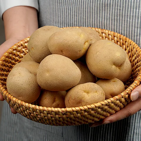 대화팜_못난이 감자 3kg 150g이상