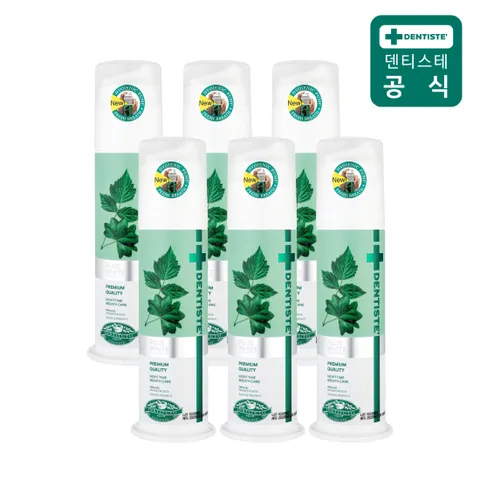 덴티스테 뉴플러스화이트 펌프치약 120g 6개