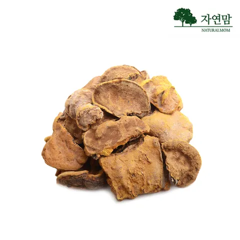 상황버섯 중국산 500g