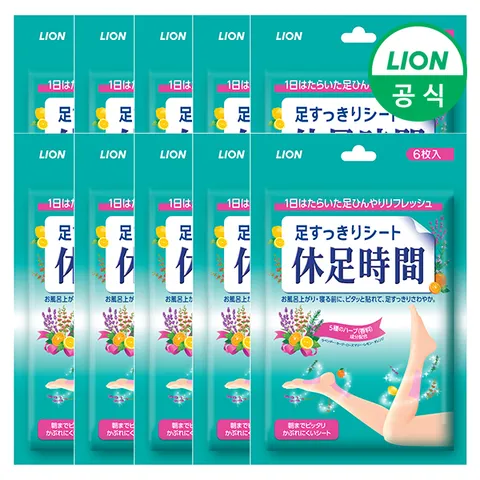 쿨링시트 6매입 x 10개