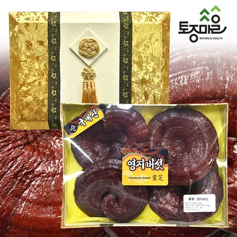 [토종마을]국내산 영지버섯 선물세트 300g [한지포장]