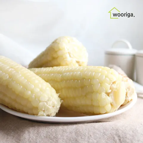탱글탱글 백찰 냉동 삶은 찰옥수수 14개 16~18cm 내외