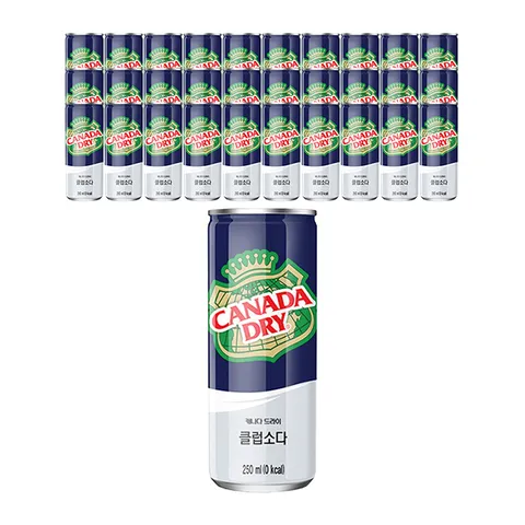 코카콜라 캐나다드라이 클럽소다 250ML 30캔