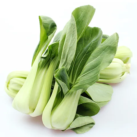 우리가락 청경채 500g