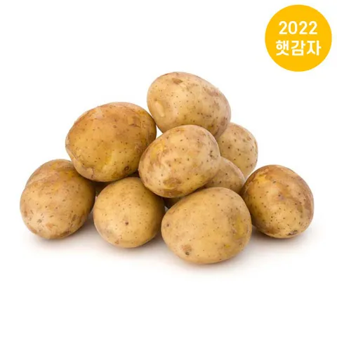 포근포근 햇감자 5kg 중