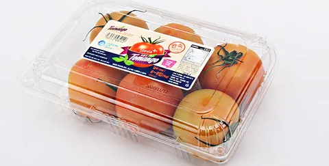 스테비아 토망고 단마토 샤인마토 2kg  1kg 2팩