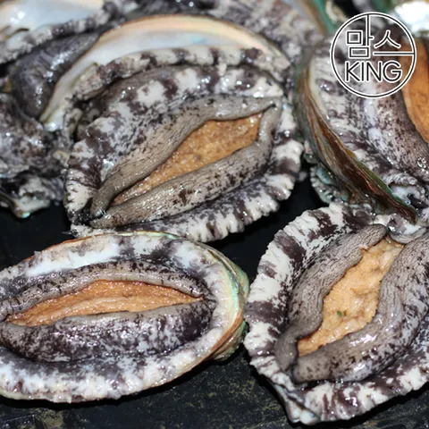 [맘스킹][대운수산] 완도 참전복 1kg(12-13마리) 산소포장 현지직송