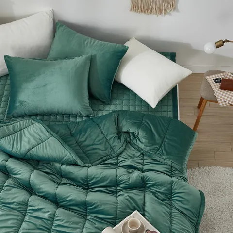 더와이 라이온 실크 극세사 차렵 이불 패드 베개세트 Q