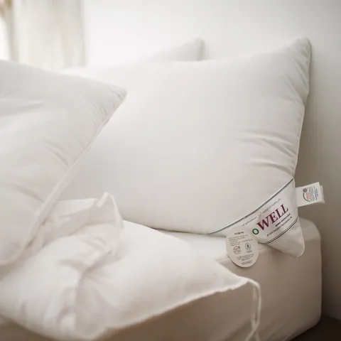 바이오웰 항균 베개솜 2type