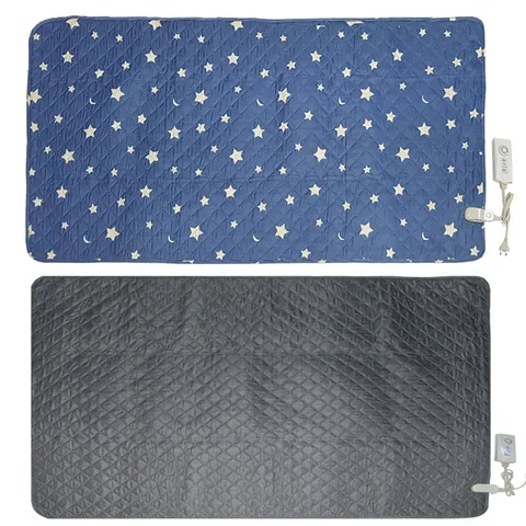 폰지원단 전기요 대/2인용