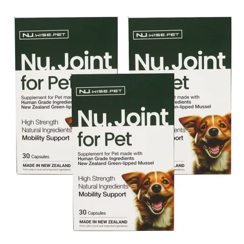[해외직구] 뉴와이즈 조인트 펫 반려견 건강 초록입홍합 30캡슐 3개