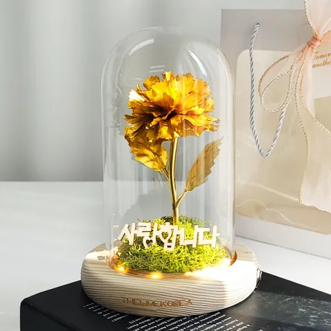 골드 카네이션 유리돔 무드등 어버이날 부모님 선물