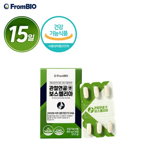 관절연골엔 보스웰리아 1박스