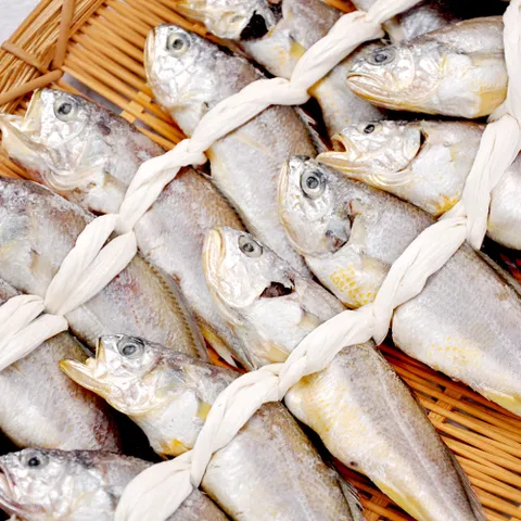 영광 법성포 굴비 20미/40미