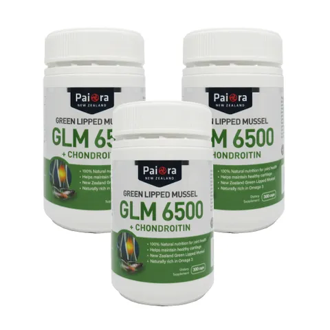 [해외직구] 파이오라 초록입홍합 6500 콘드로이친 300캡슐 3개