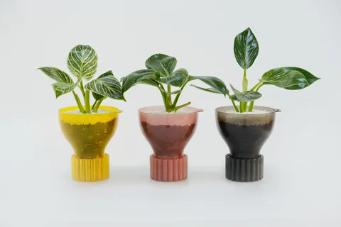 [1사1명품] 필로덴트론 버킨 1종 (색상 선택)