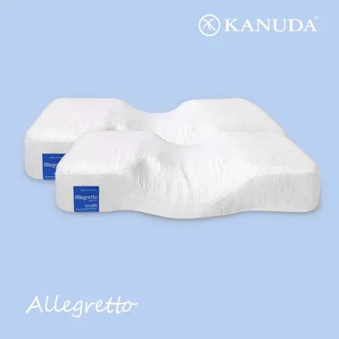 [가누다] 블루라벨 알레그레토(Soft) 2개세트 경추 기능성 베개