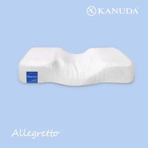 블루라벨 알레그레토 Soft (S,M) 경추 기능성 베개