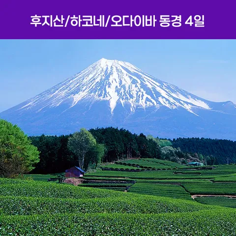 [동경NO1]후지산/하코네/오다이바 동경 4일 전일관광 #온천호텔1박 #트윈룸 #해적유람선탑승