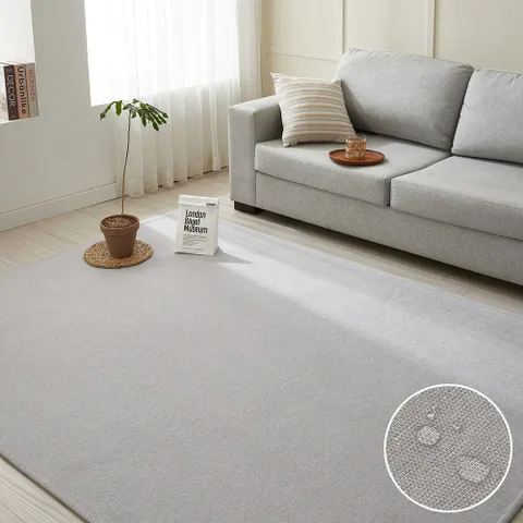 바젤 방수 러그 먼지없는 거실 카페트 (200x300)