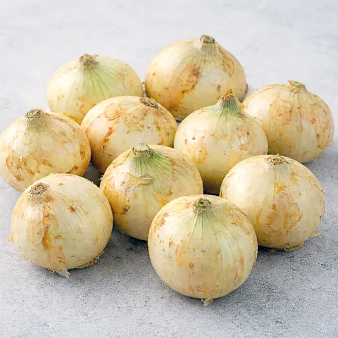 26년 수확 무안 황토 양파 3kg/5kg