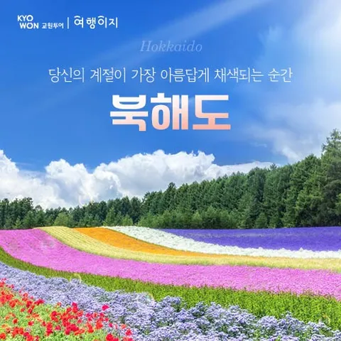 교원투어 스페셜 북해도 4일
