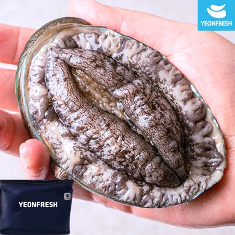 [선물포장] 완도활전복 1kg 5-6미 (미당167g내외)