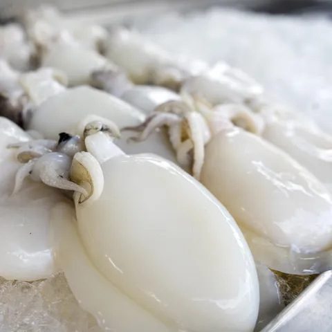 국내산 손질 꼬마 갑오징어 2kg 40미 내외