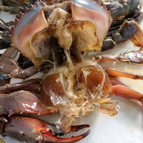 2대 비법으로 만든 돌게장 간장게장