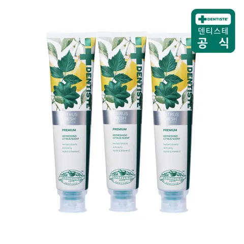 덴티스테 시트러스후레쉬 치약(불소함유) 200g 3개