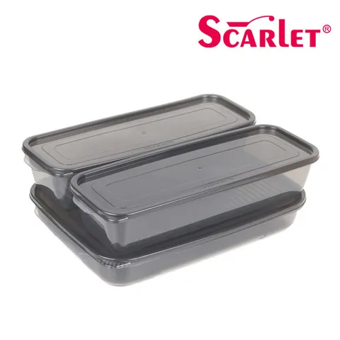 스칼렛 냉장냉동겸용 정리용기 프레쉬 세이빙 2호