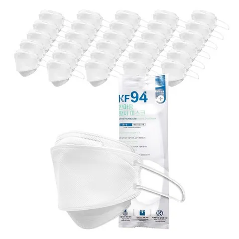 한스웰 한마음 황사마스크대형 성인용KF94, 1개입, 100개, 화이트