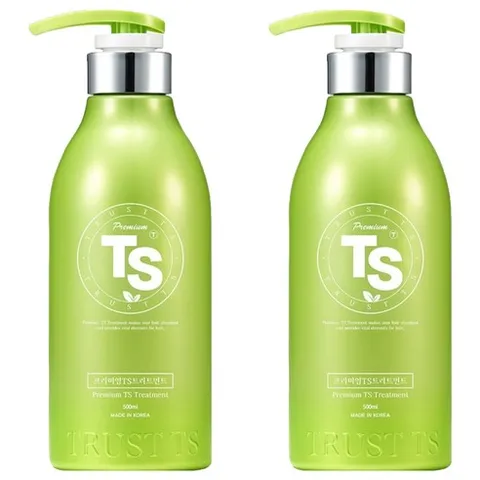 TS 프리미엄 모발영양케어 트리트먼트, 500ml, 2개