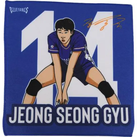 삼성화재 플레이어 일러스트 핸드타월 정성규, 파랑, 1개