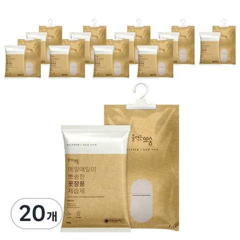 물먹는뽀송 옷걸이형 제습제 본품, 200g, 20개