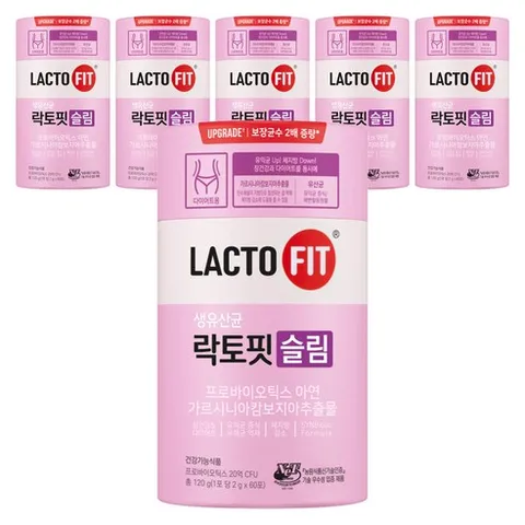 락토핏 슬림 유산균, 120g × 6개, 120g, 6개