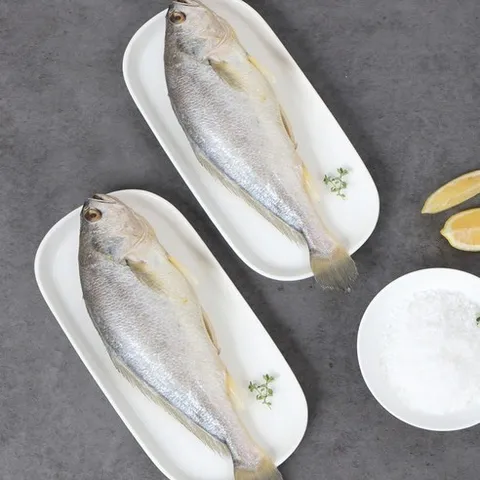 영광 법성포 부세 조기 5마리 28~30cm 특대 손질 진공 포장, 5개