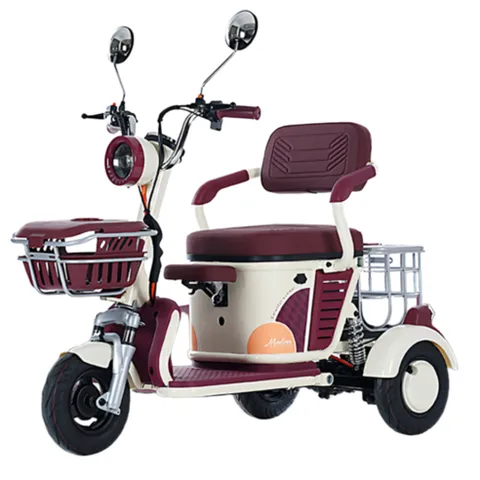 트리보 삼륜 전기자전거 세발 전동 스쿠터, 크림화이트, 경량스틸