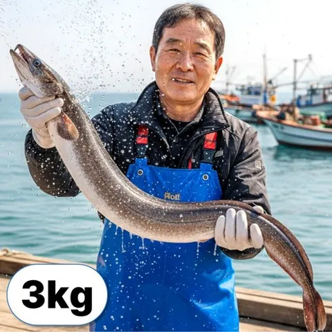 새벽조업직송 손질 바다 장어 구이용, 1개, 3kg