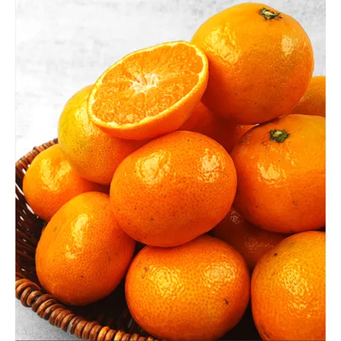 [당일한정수확] 고당도 제주 감귤 밀감, 1박스, [특가]10kg 중대과L~2L