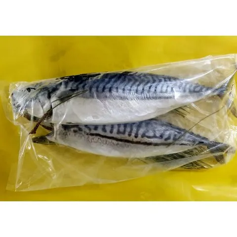 다원 특대 솔잎노르웨이고등어1손(구이용 조림용외), 1개, 780g~820g