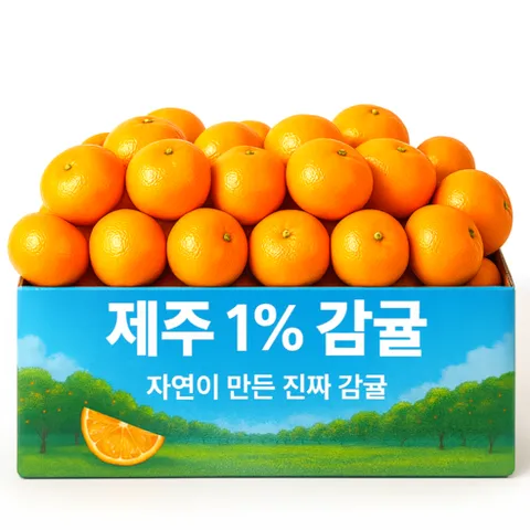 [200개 초특가] 제주감귤 노지 서귀포 감귤, 1개, 곧마감 10kg(L~2L) _ (오늘만 초특가!