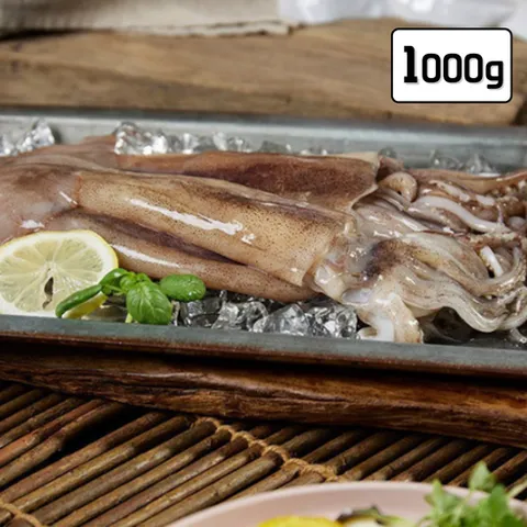 국내산 손질 통오징어 파지 국산 구룡포 오징어, 2개, 500g