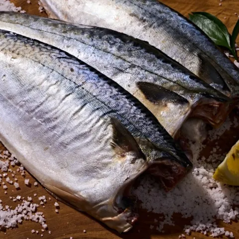 제주직송 프리미엄 제주 저염 고등어 왕특대 고등어 손질 고등어 "가격비교" 한정특가, 1개, 200g 내외 (왕특대)