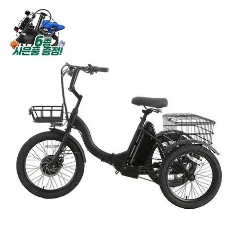 레이윙 캐리 이지 CARRY EZ 삼륜 3륜 시니어 효도 전기자전거 삼성셀, 팬텀 블랙, 스틸