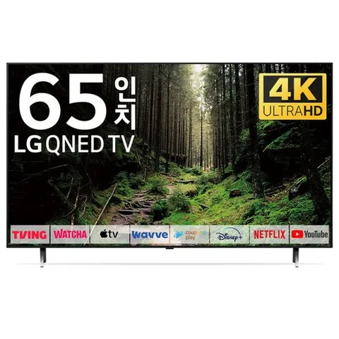 LG TV 163cm(65인치) 퀀텀닷 나노셀 4K LED 스마트 티비 65QNED75 로컬변경, 방문설치, 벽걸이형